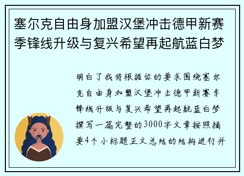 塞尔克自由身加盟汉堡冲击德甲新赛季锋线升级与复兴希望再起航蓝白梦